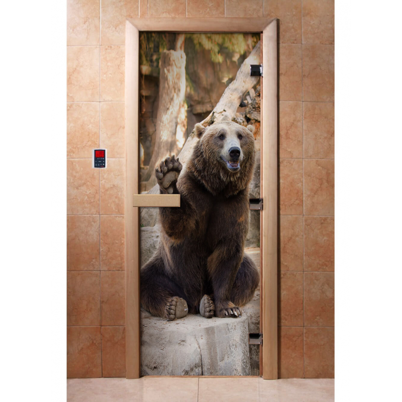 Дверь DoorWood с фотопечатью A061