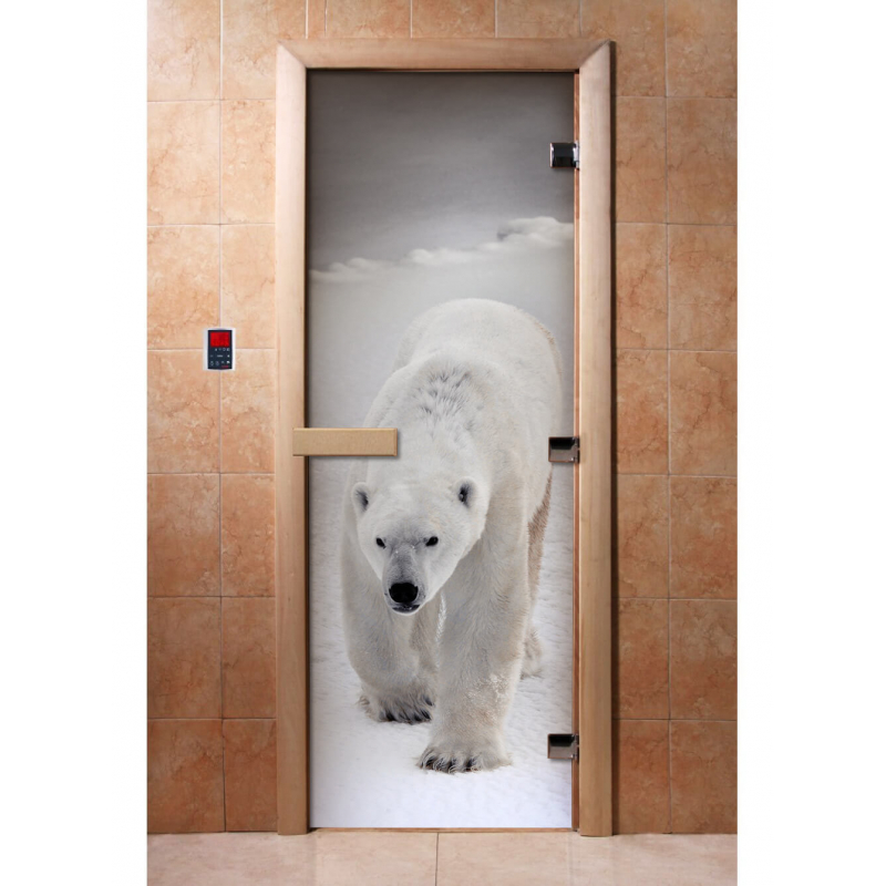 Дверь DoorWood с фотопечатью A062