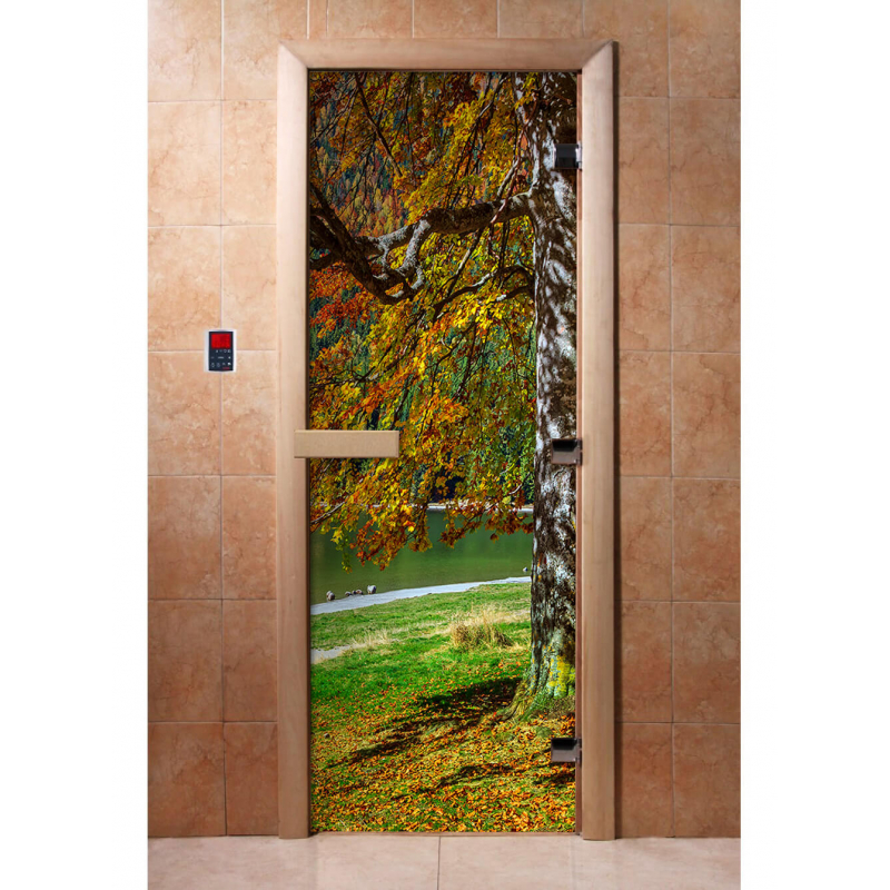 Дверь DoorWood с фотопечатью A089